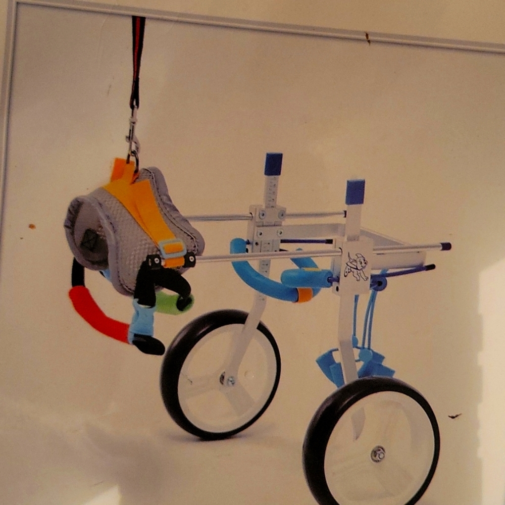 Wheel chair dog  XL